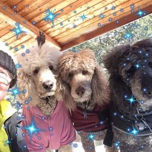 Meet your Posher, Lynn